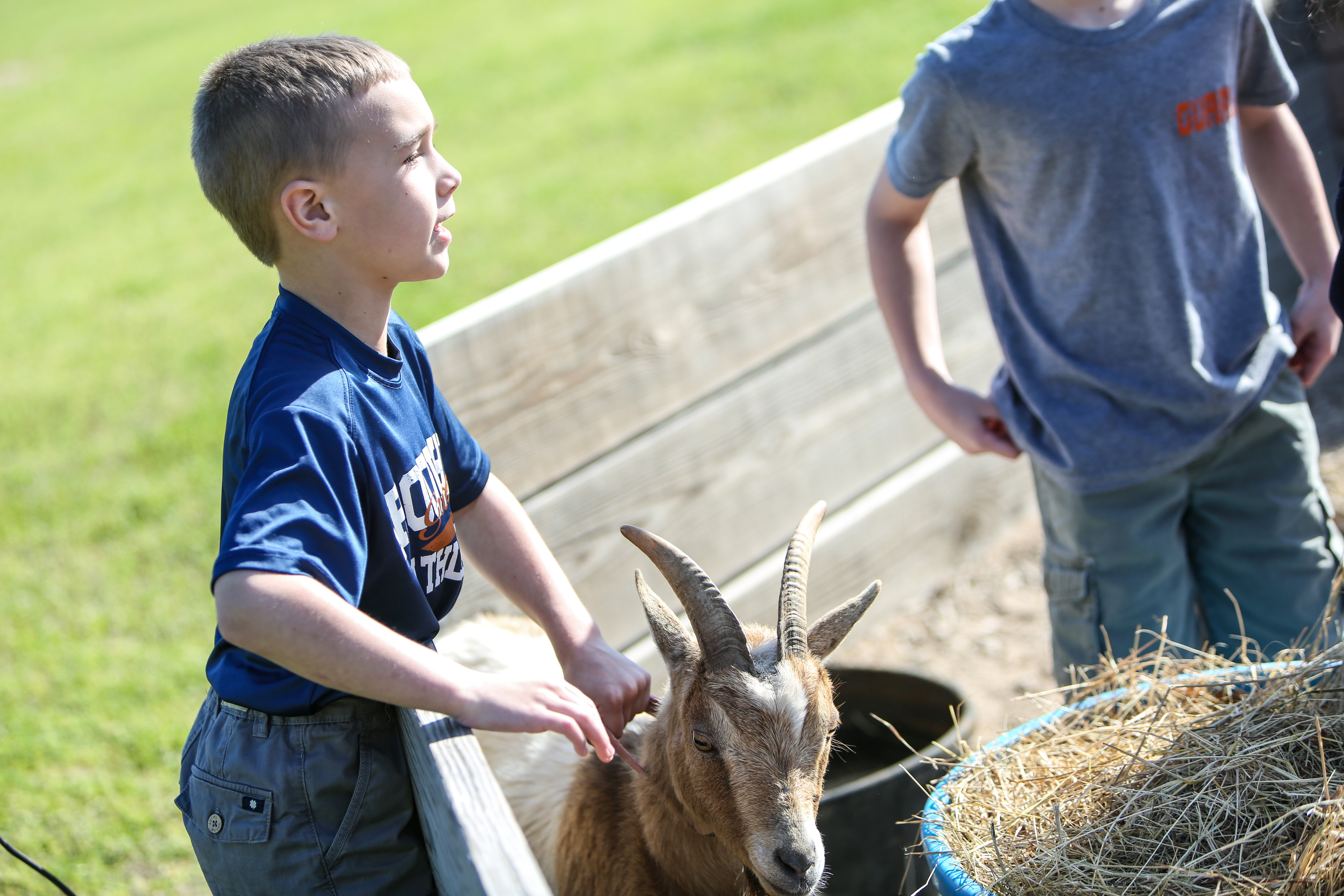 Garden&PettingZoo(TA)-10