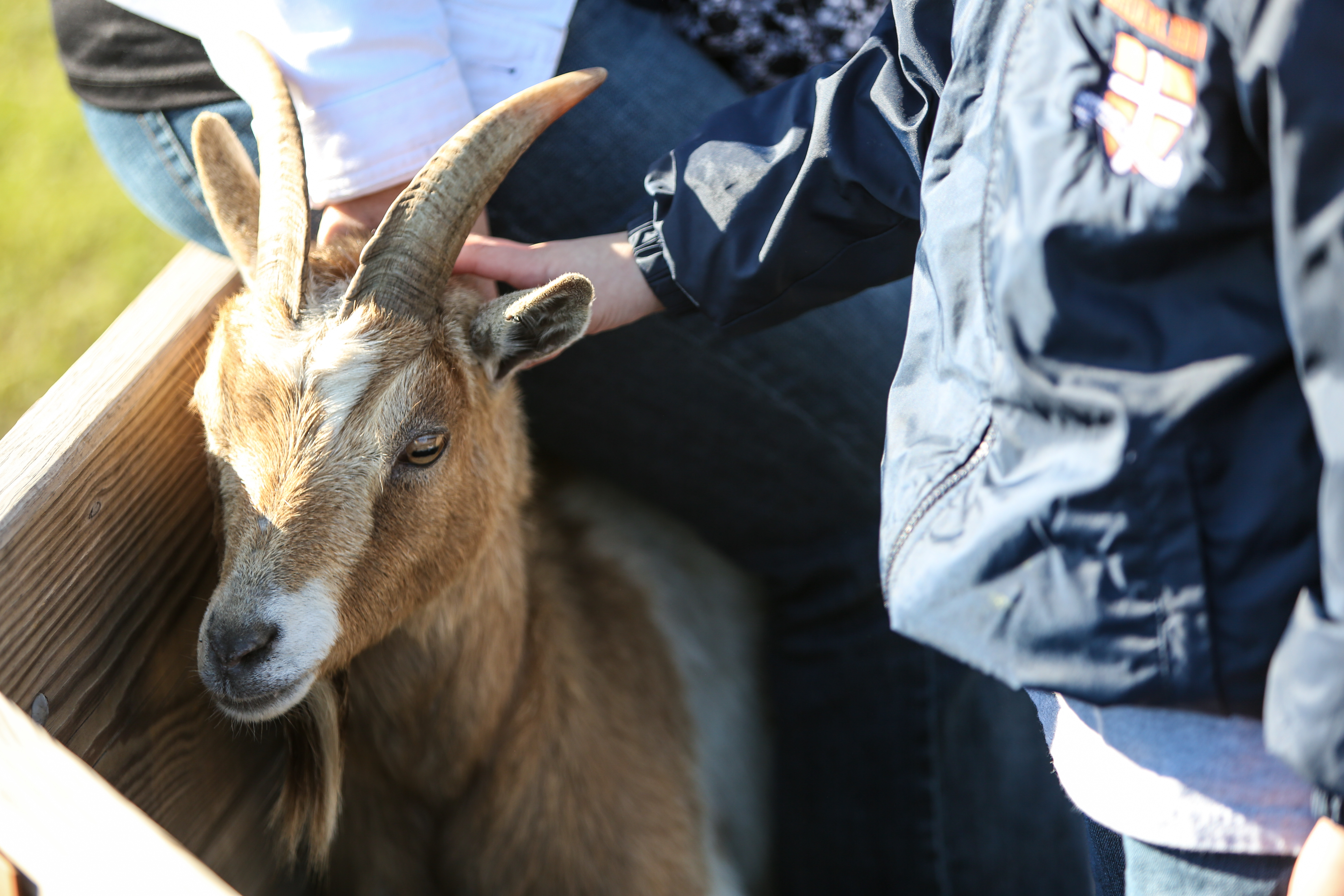 Garden&PettingZoo(TA)-14