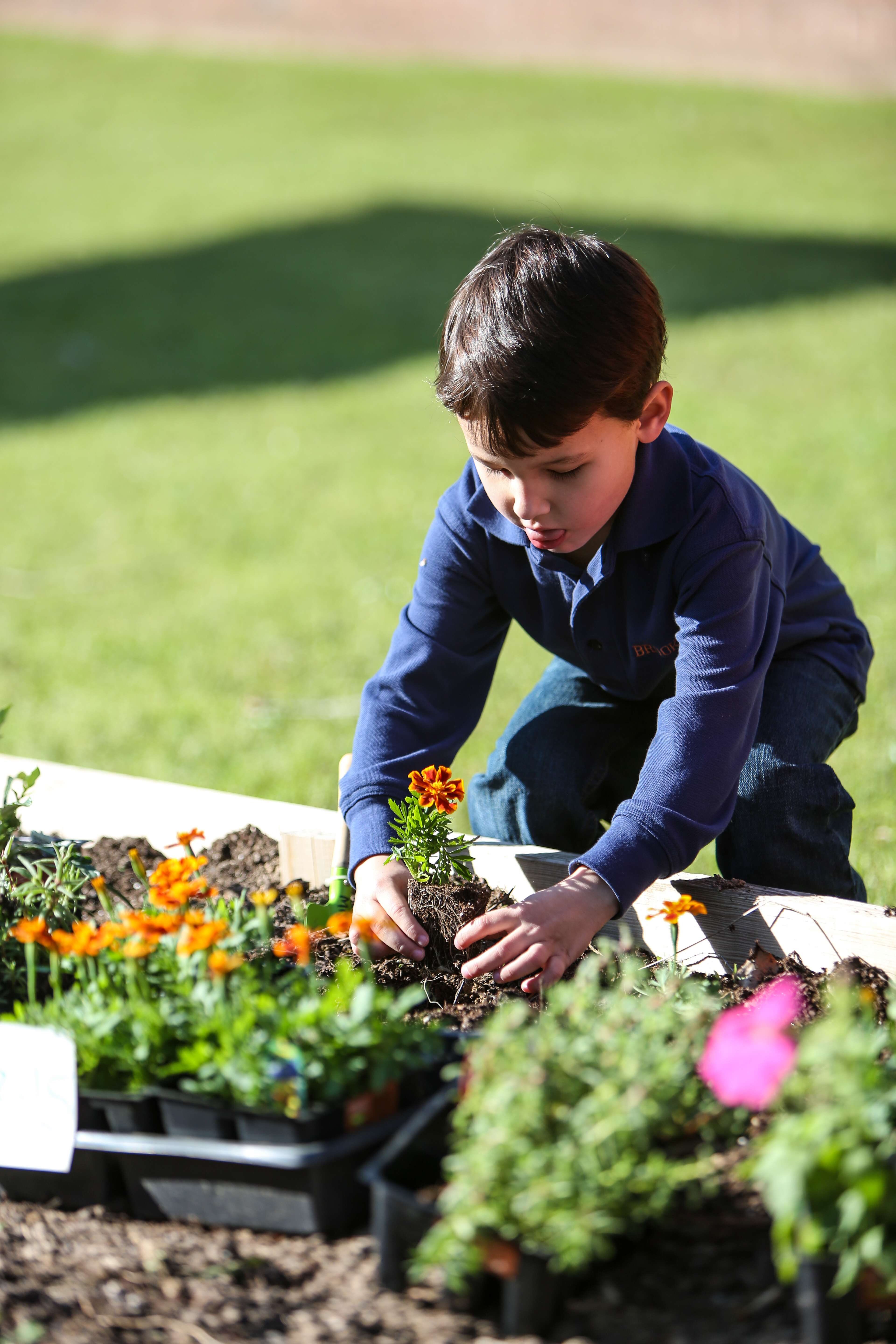 Garden&PettingZoo(TA)-24