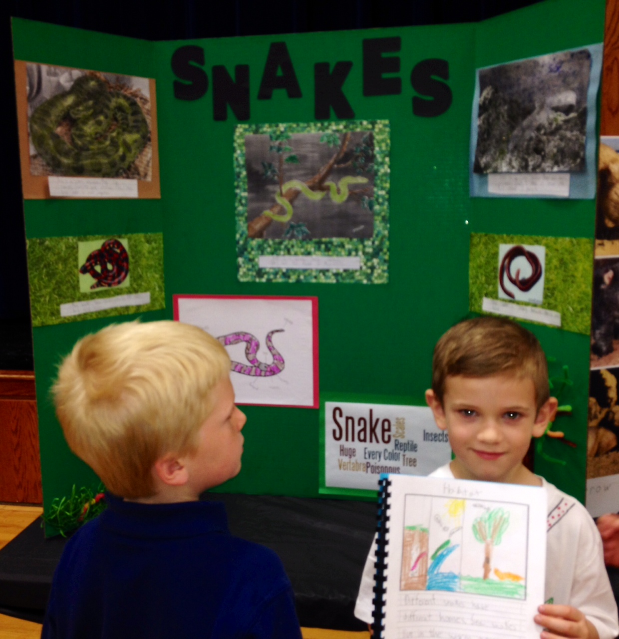 Amazing First Graders and their Amazing Animal Showcase - The Brook Hill School Amazing First Graders and their Amazing Animal Showcase - The Brook Hill School