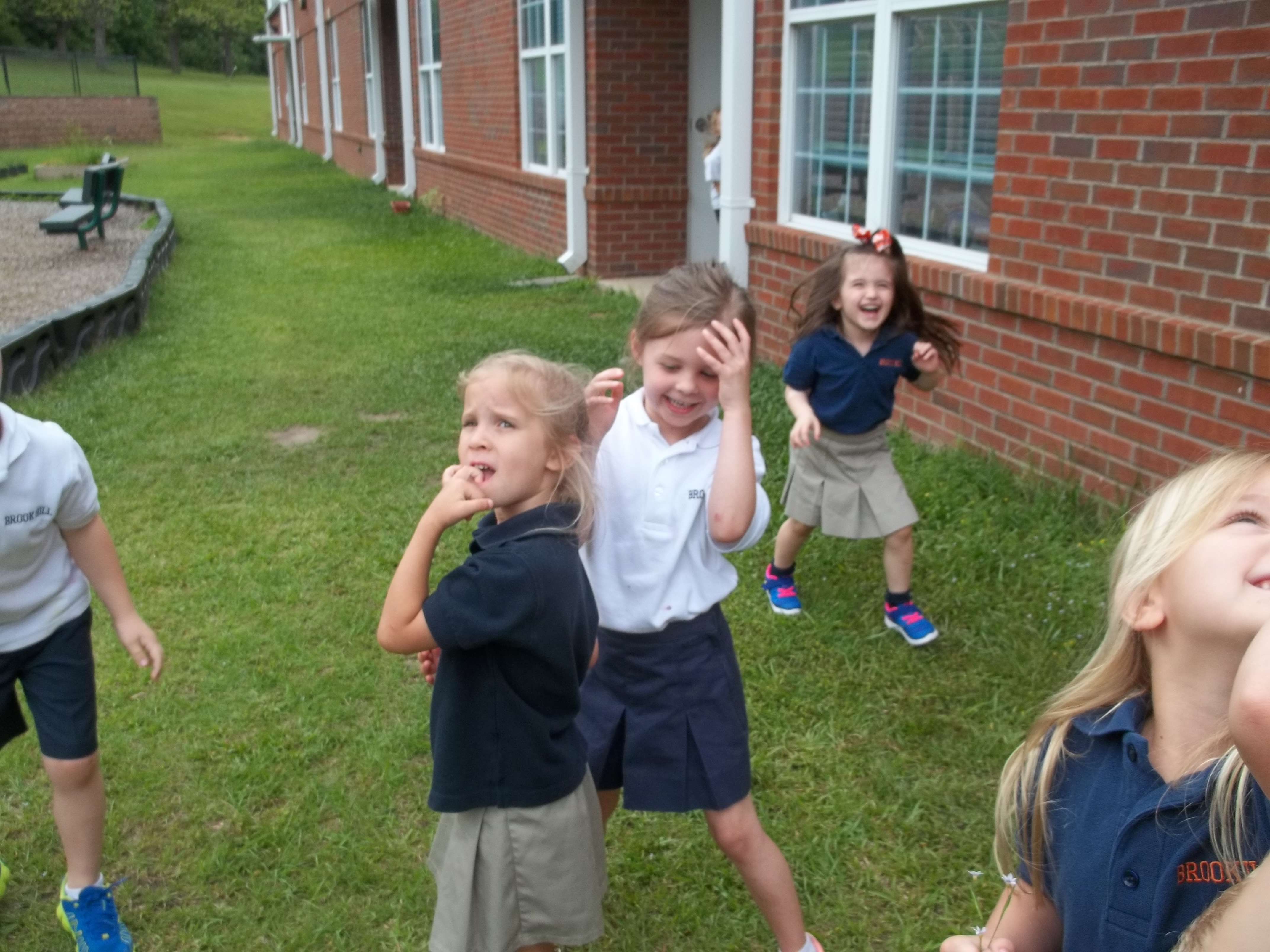 butterfly release (1)
