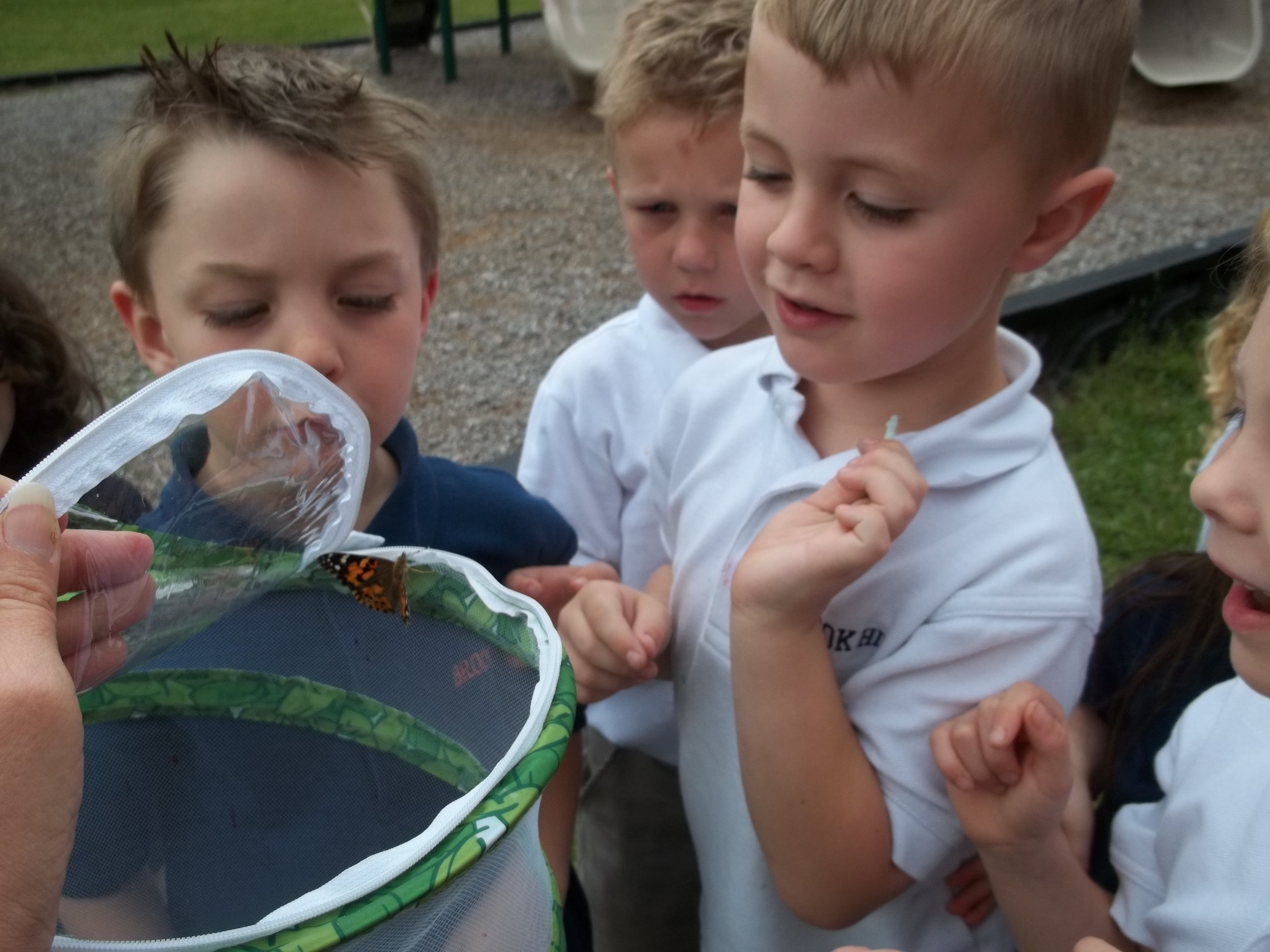 butterfly release (5)