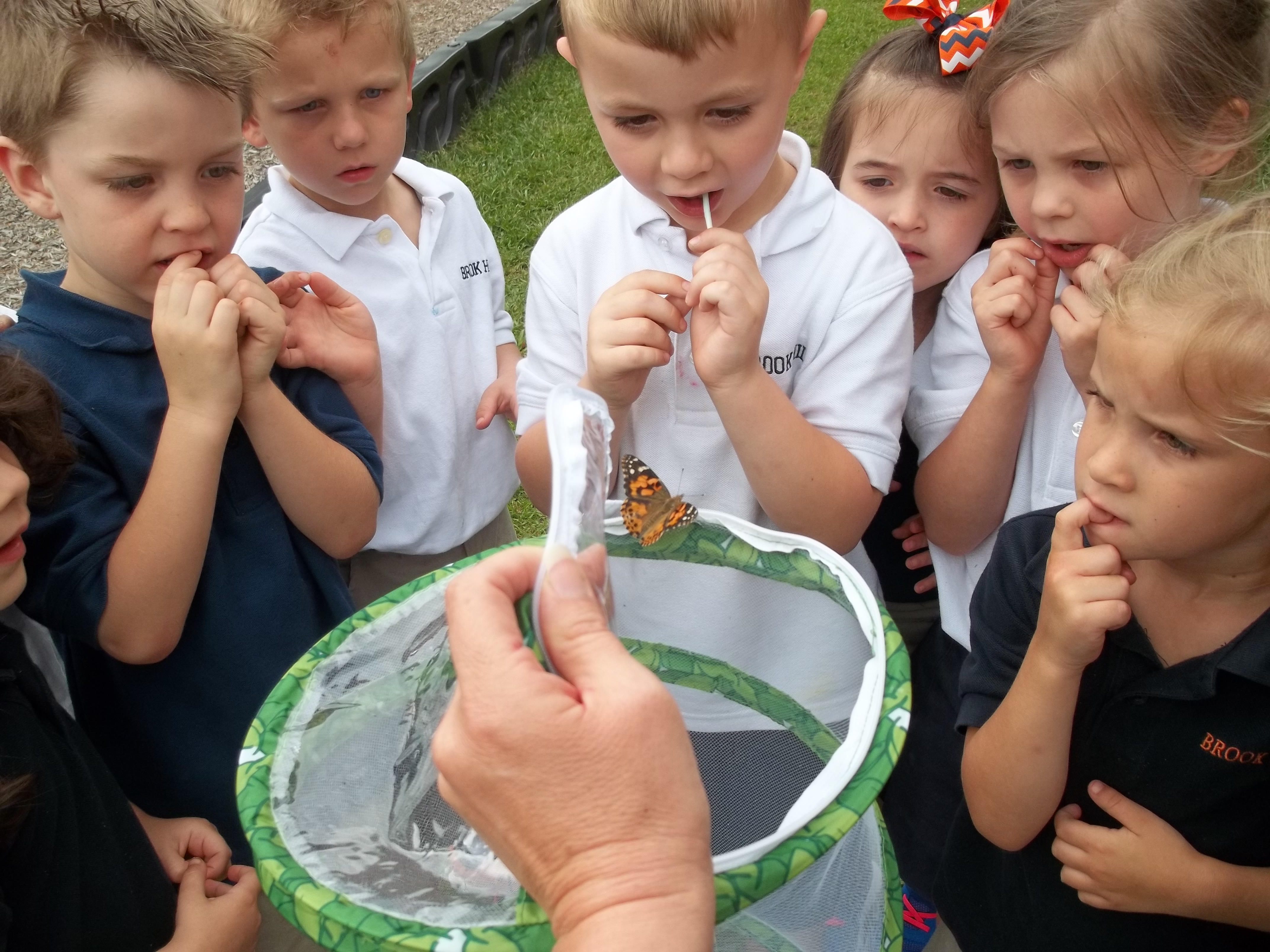 butterfly release (6)