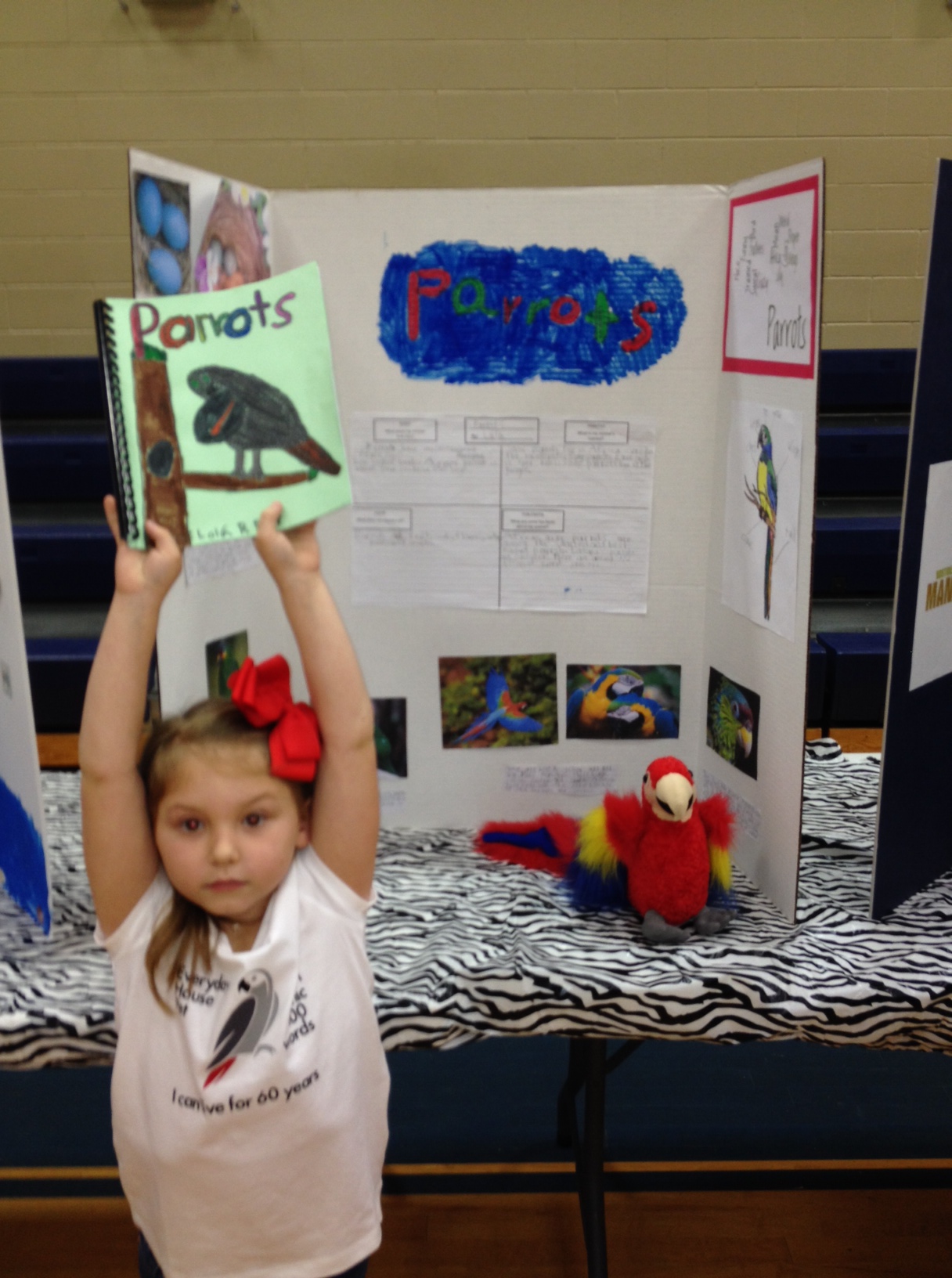 Amazing First Graders and their Amazing Animal Showcase - The Brook Hill  School