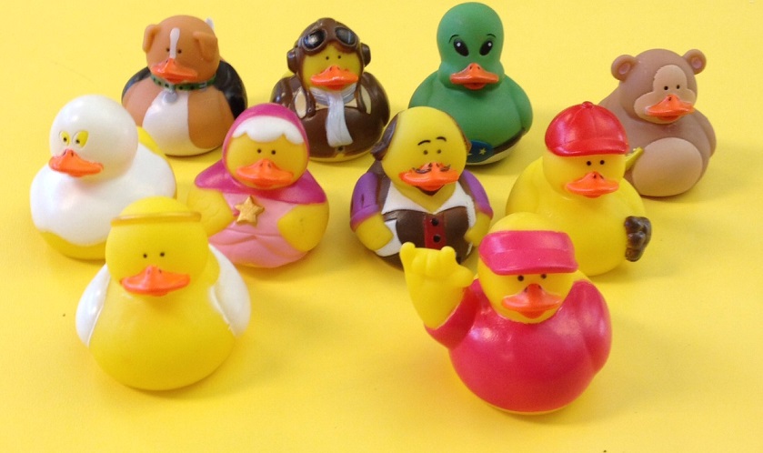 ducks