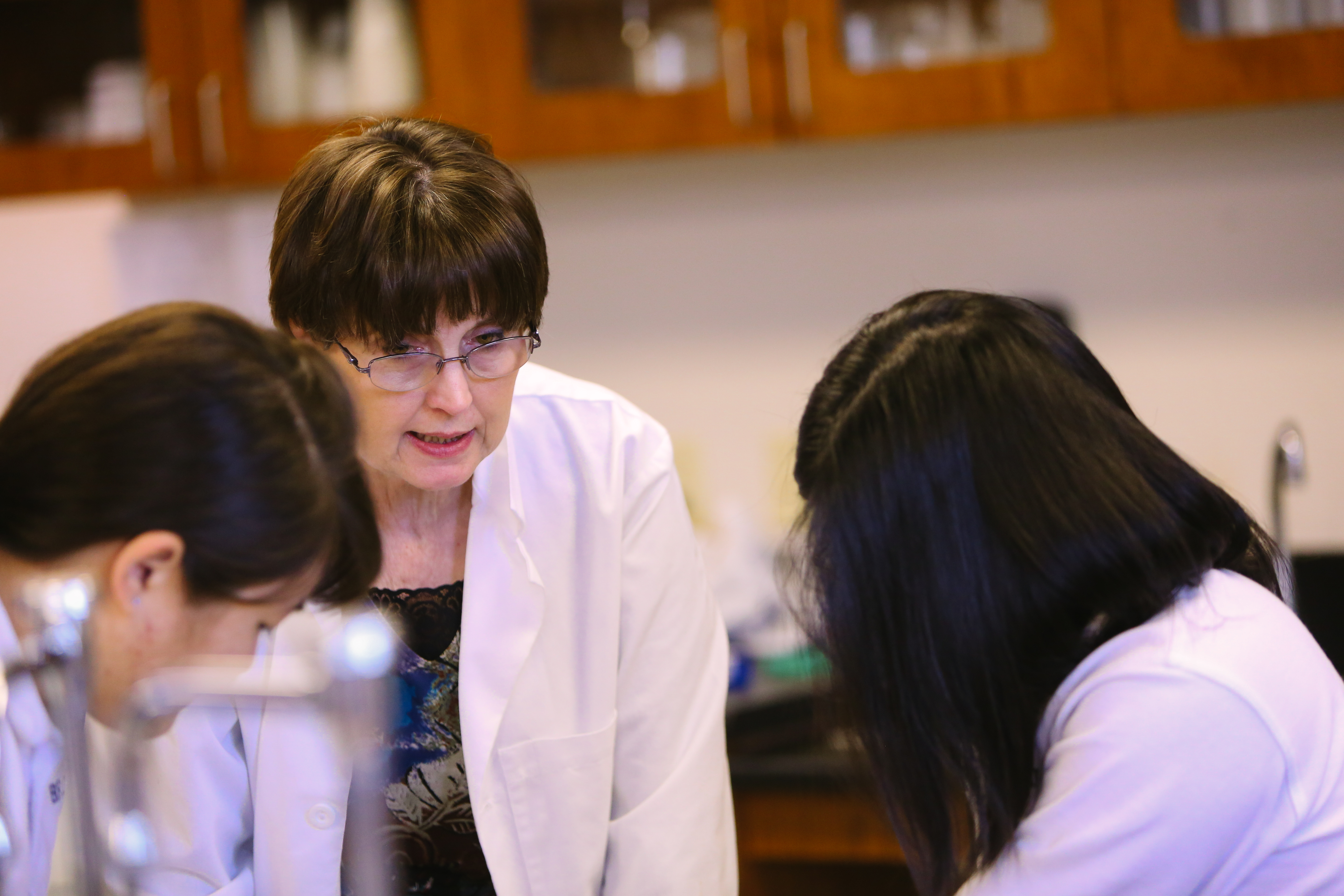 Plant Lab(TA)-24