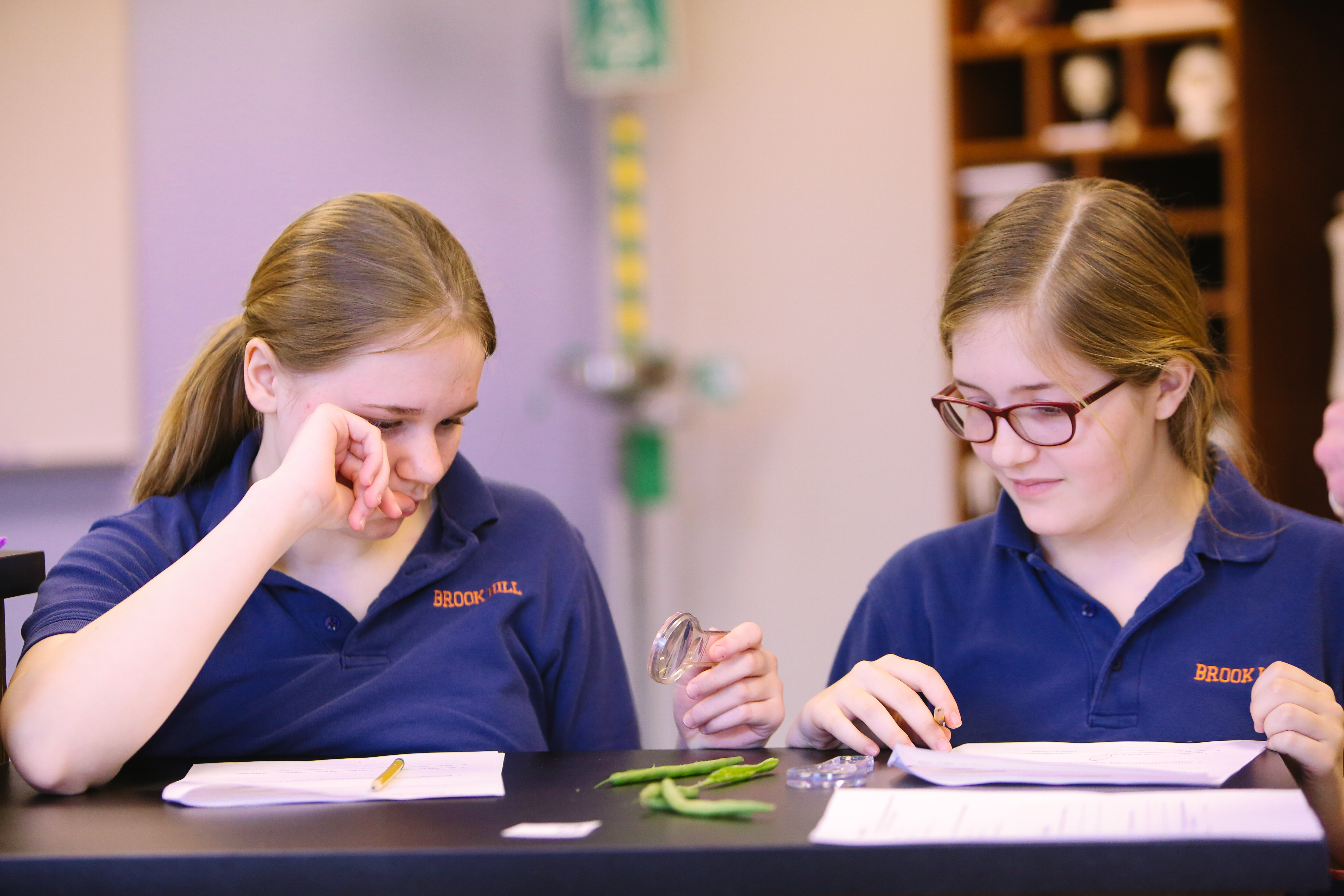 Plant Lab(TA)-4