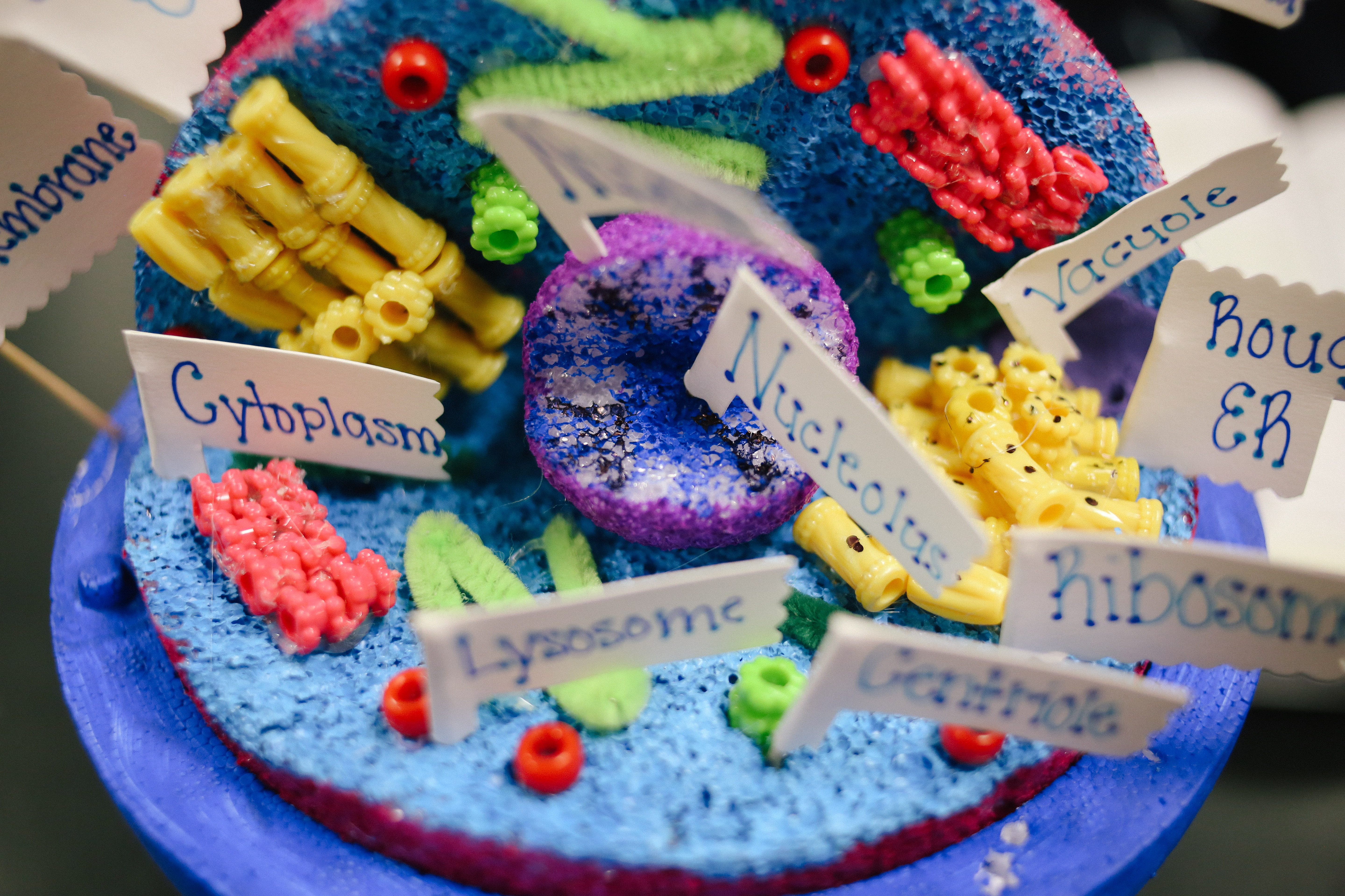 plant cell project cake ideas