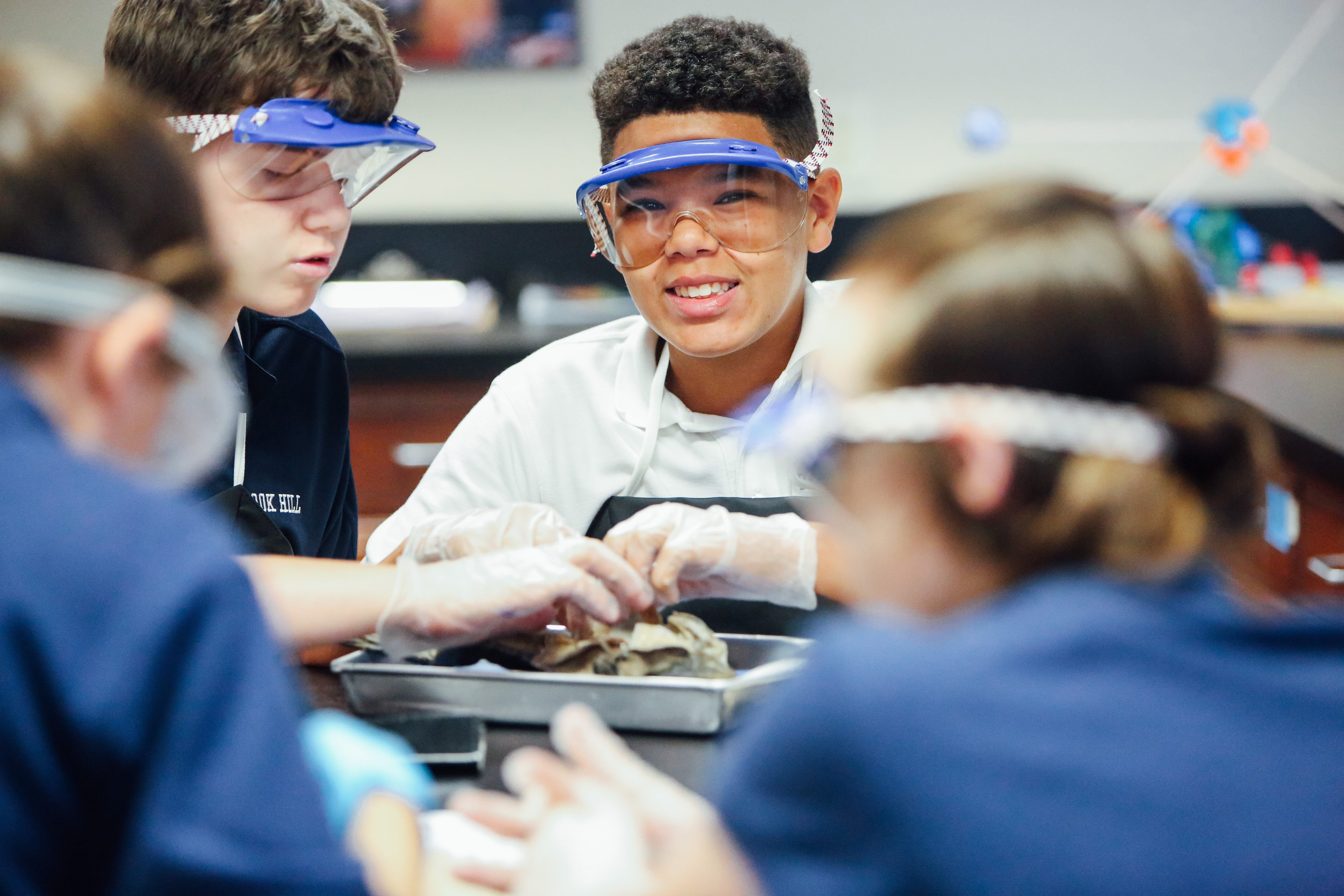 Frog Dissection(EH)-16