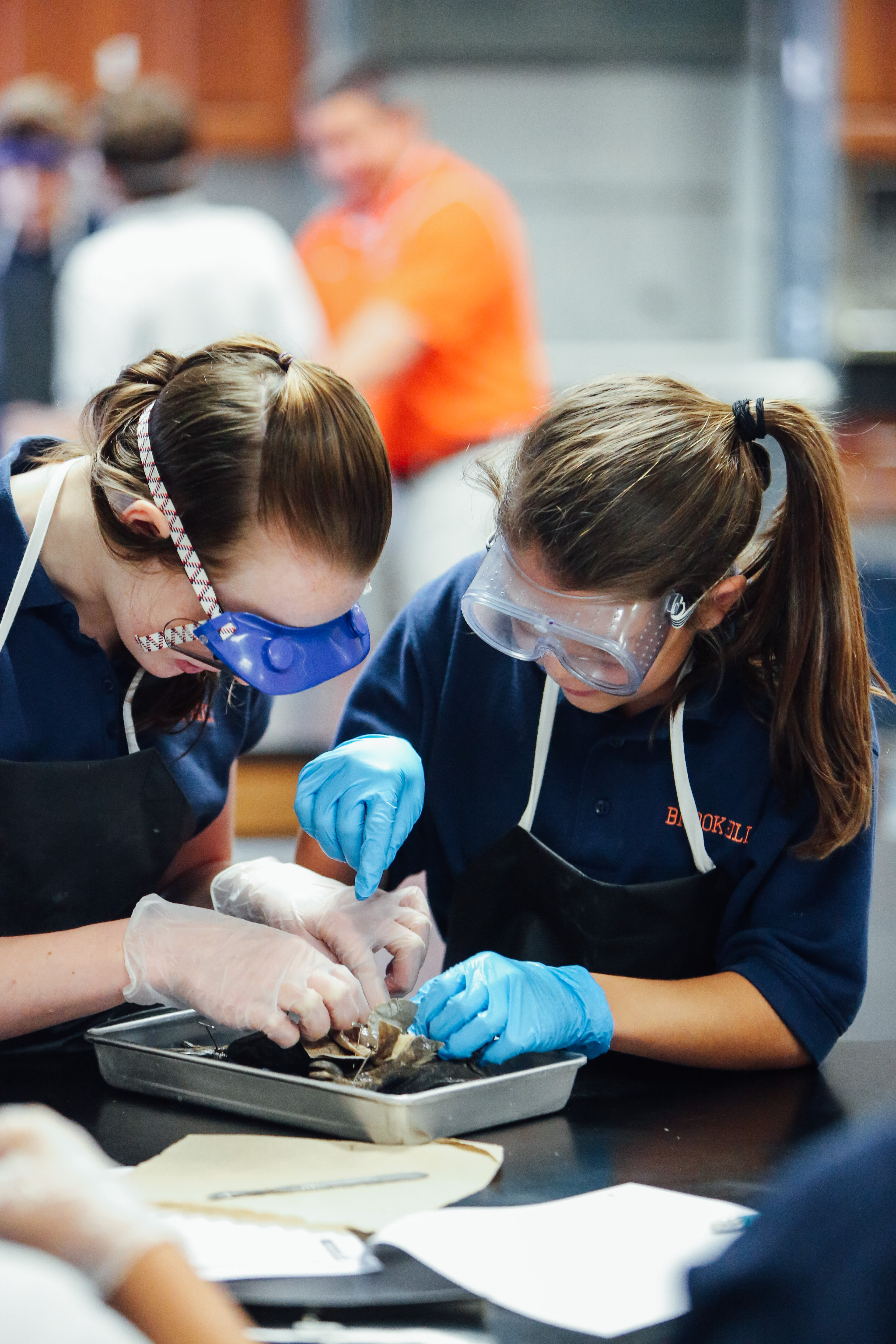 Frog Dissection(EH)-20