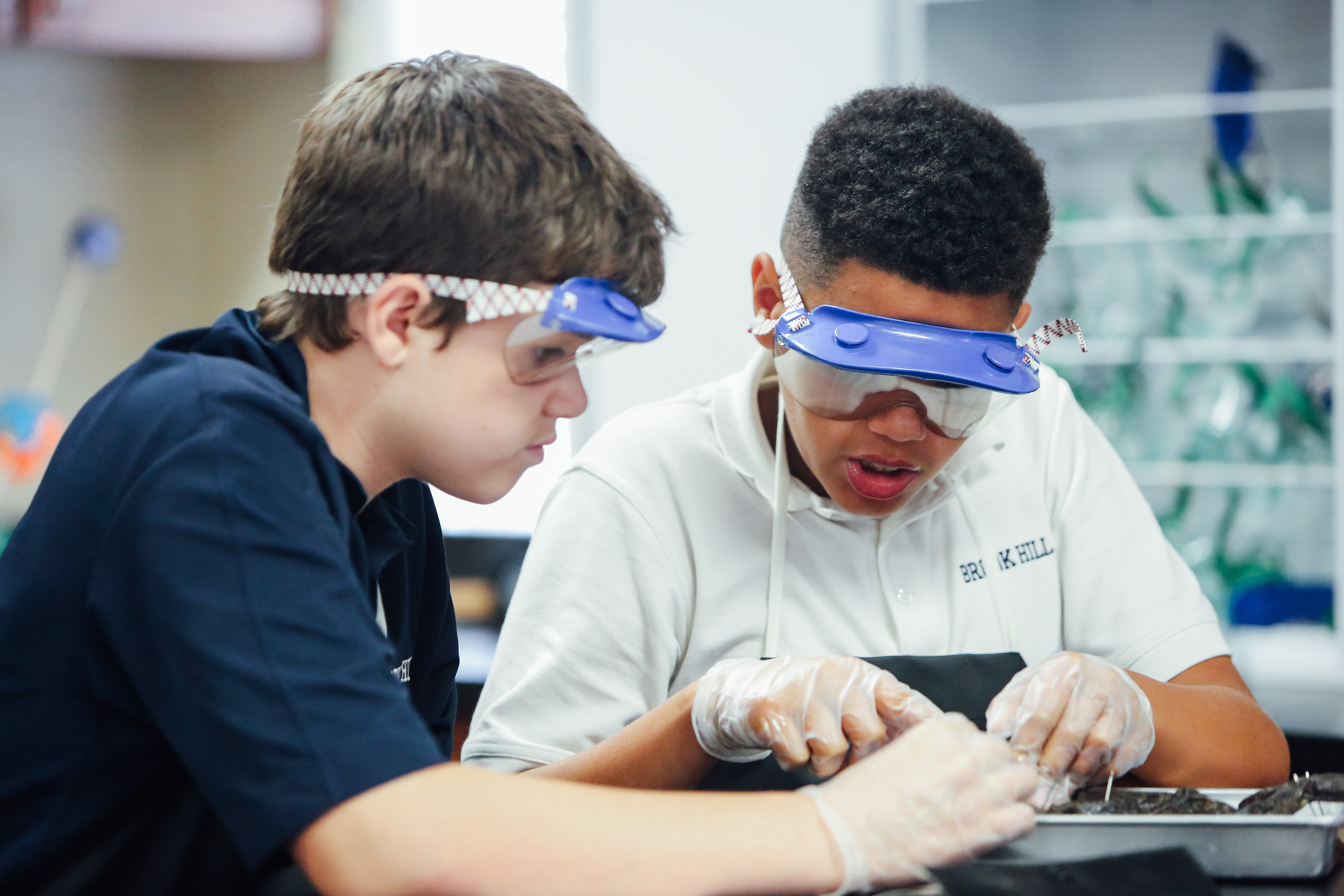 Frog Dissection(EH)-29