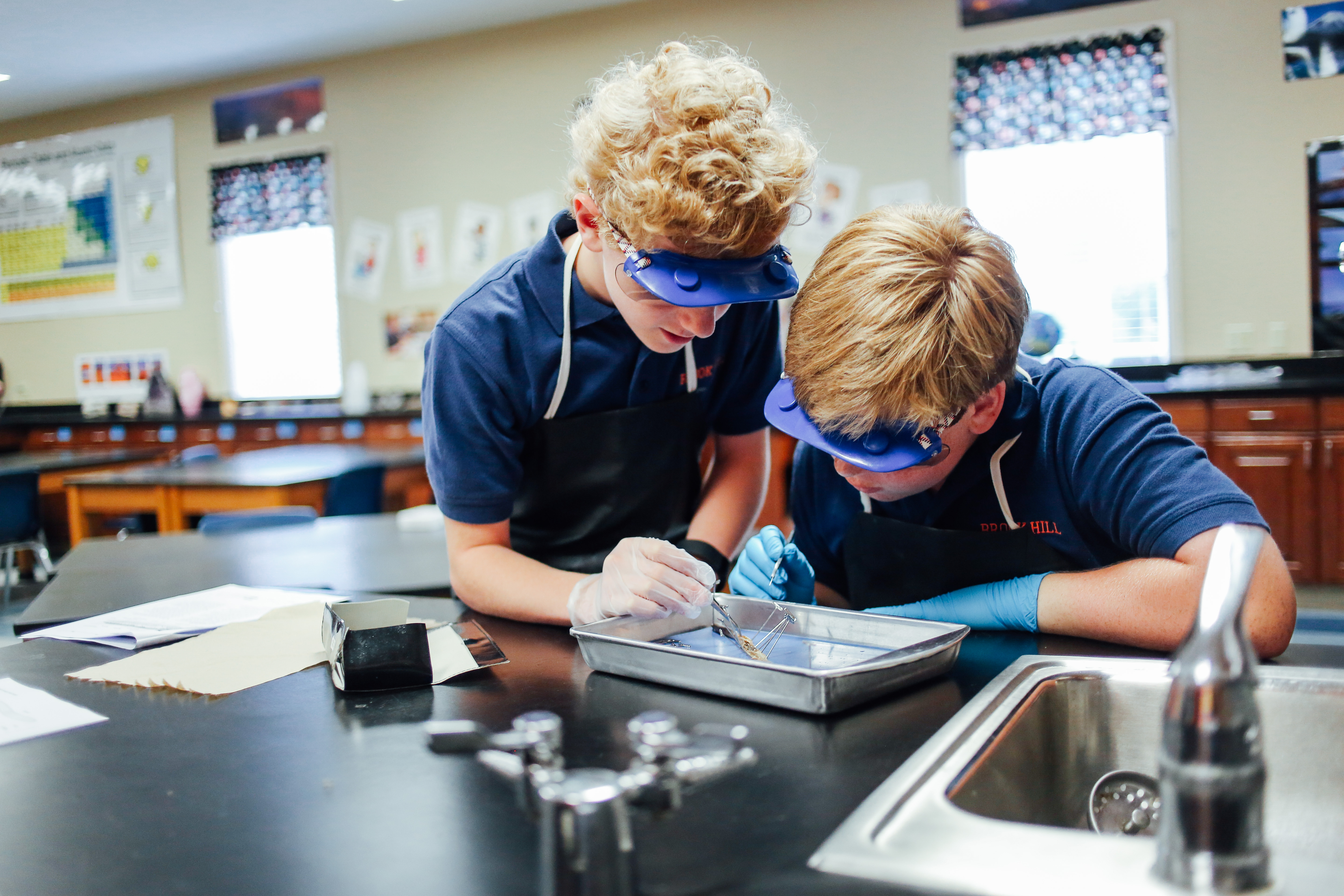 Worm Dissection(TA)-11