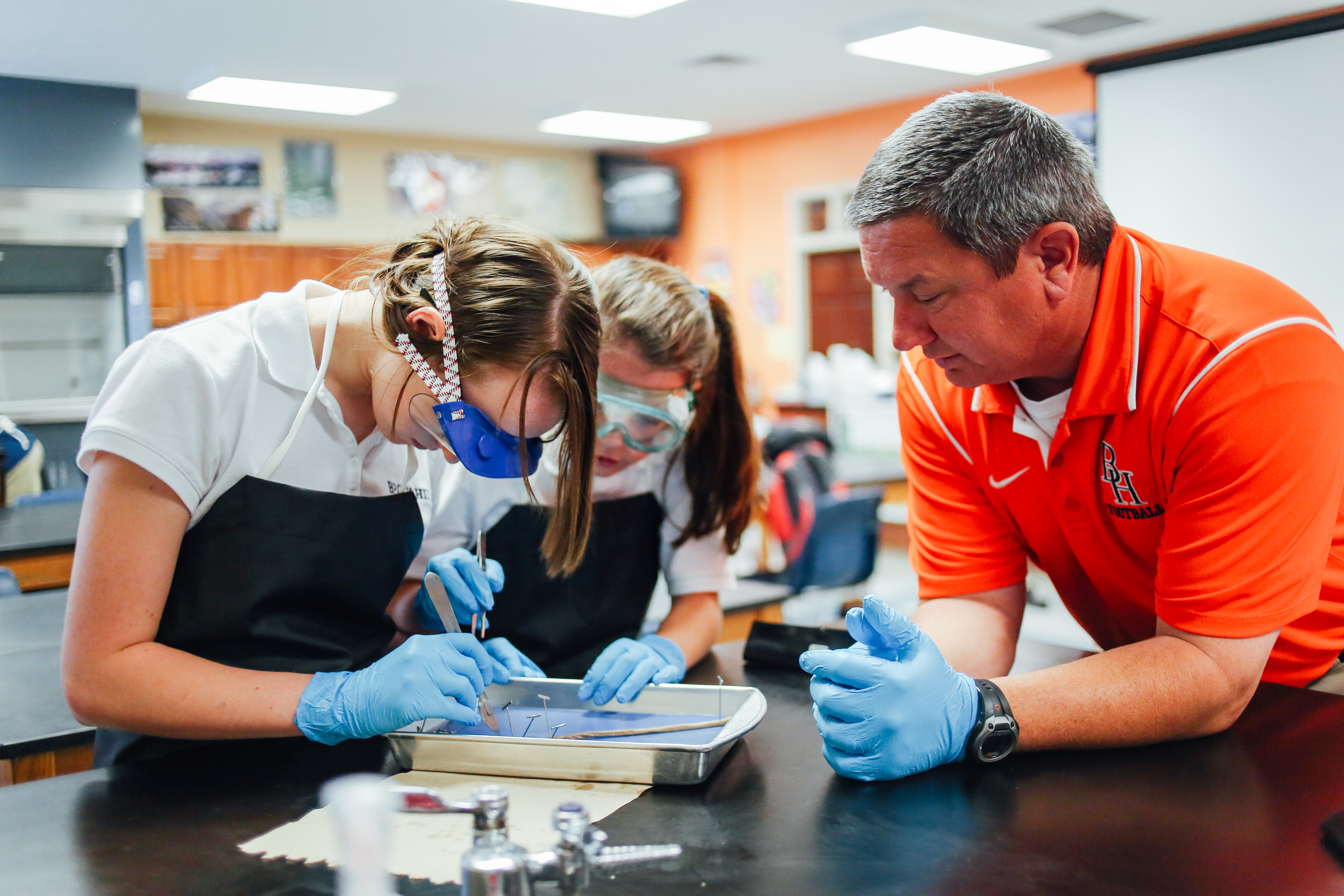 Worm Dissection(TA)-12