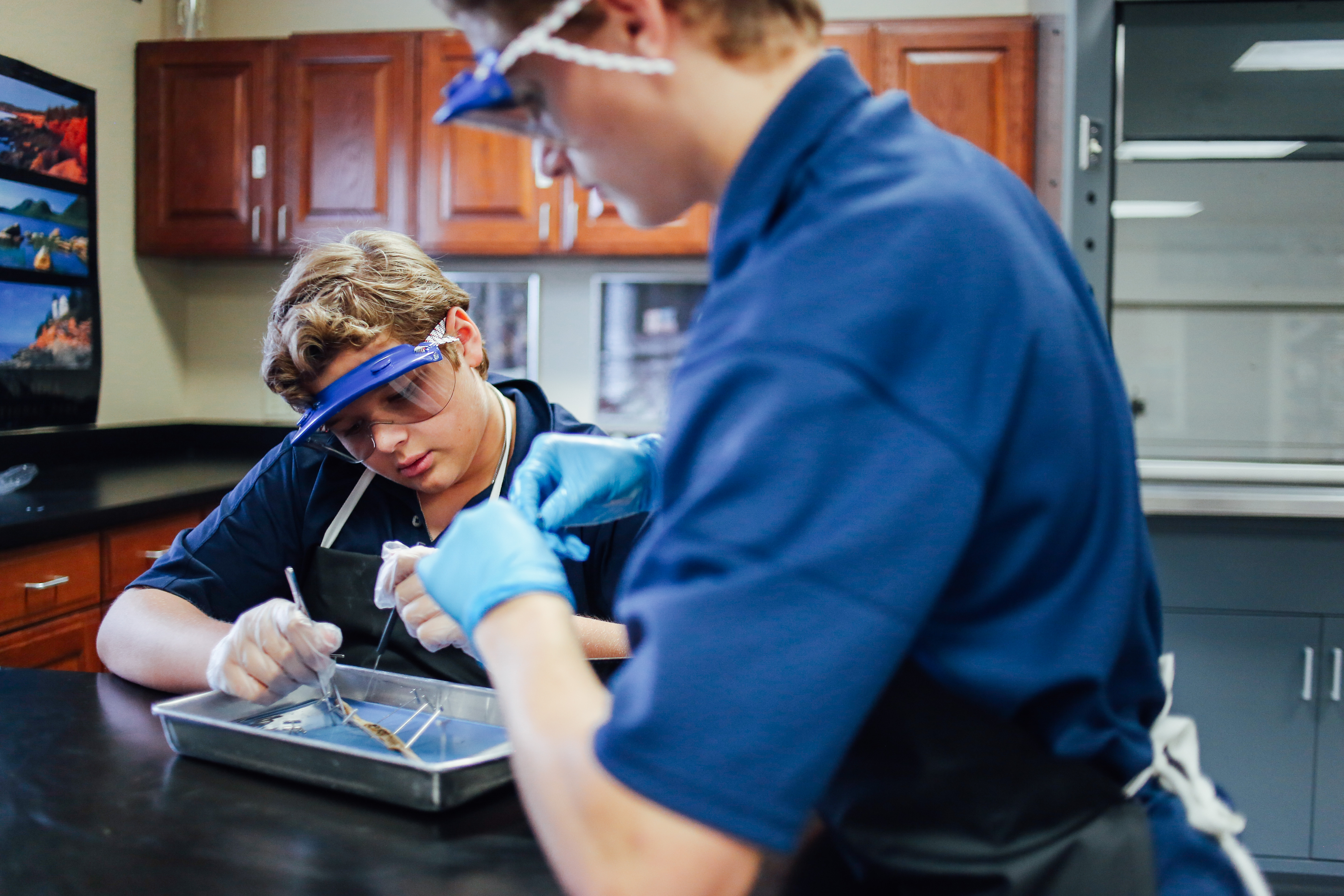 Worm Dissection(TA)-14