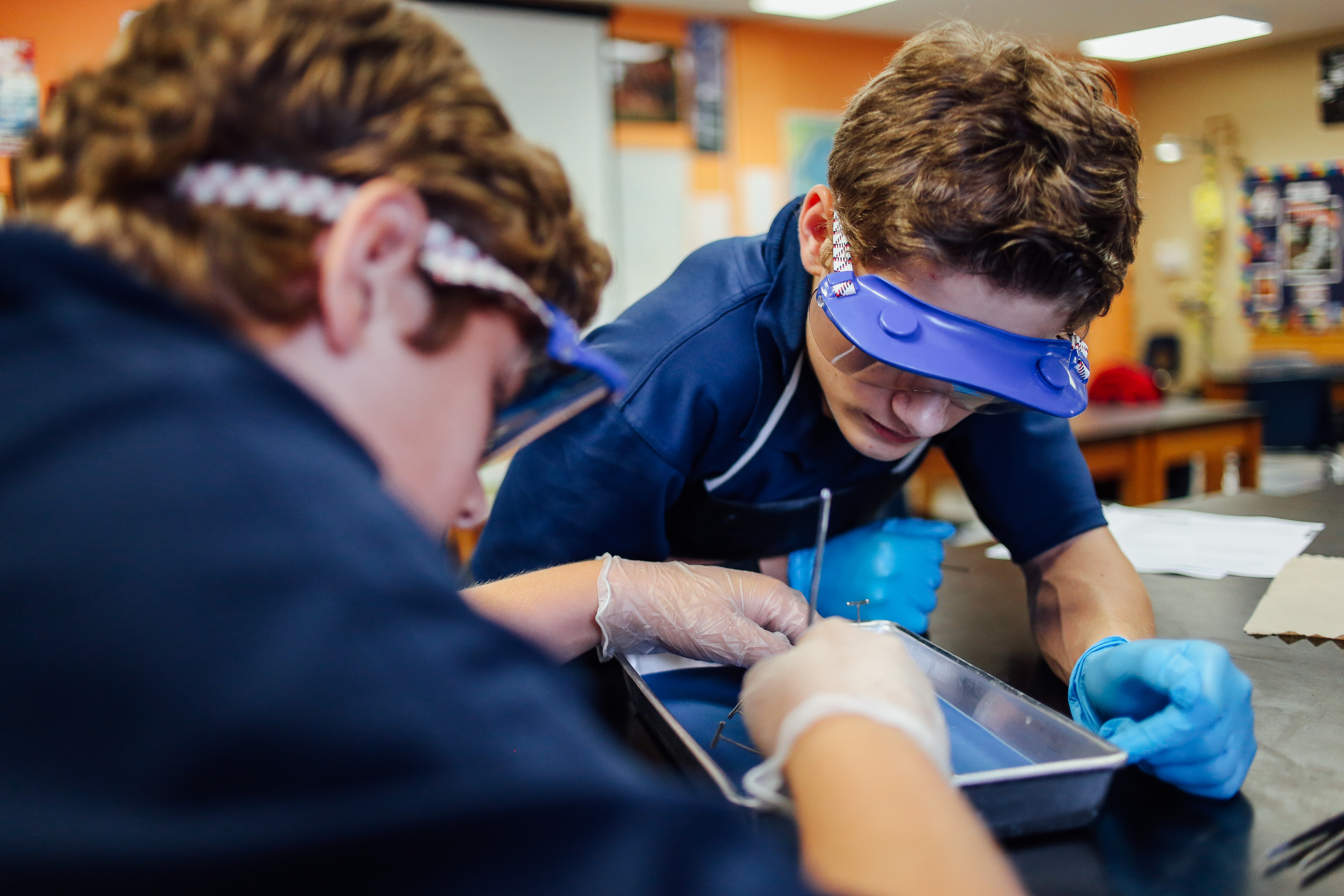 Worm Dissection(TA)-8