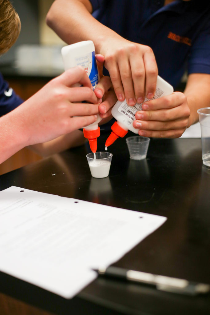 8thsciencelablm-2